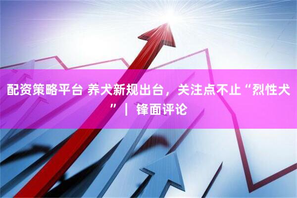 配资策略平台 养犬新规出台，关注点不止“烈性犬”｜ 锋面评论